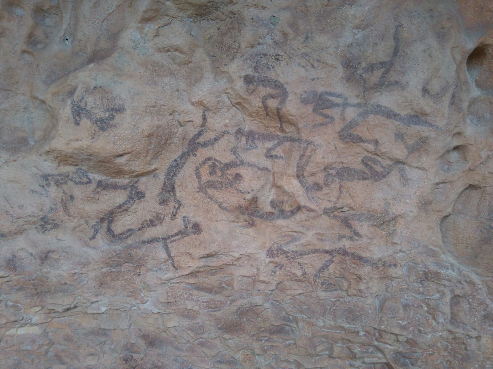 WhatsApp Image 2017 02 20 at 17.56.47