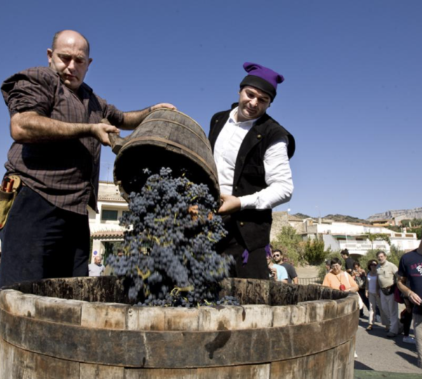 La festa del Vi i la Verema a l'antiga de Poboleda se celebra aquest dissabte