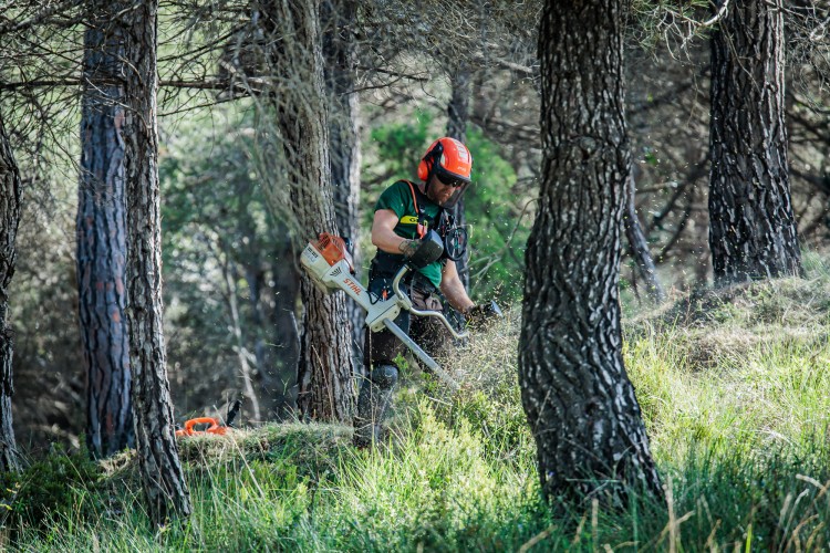 El Govern presenta una nova estratègia de gestió forestal per reforçar la prevenció de grans incendis