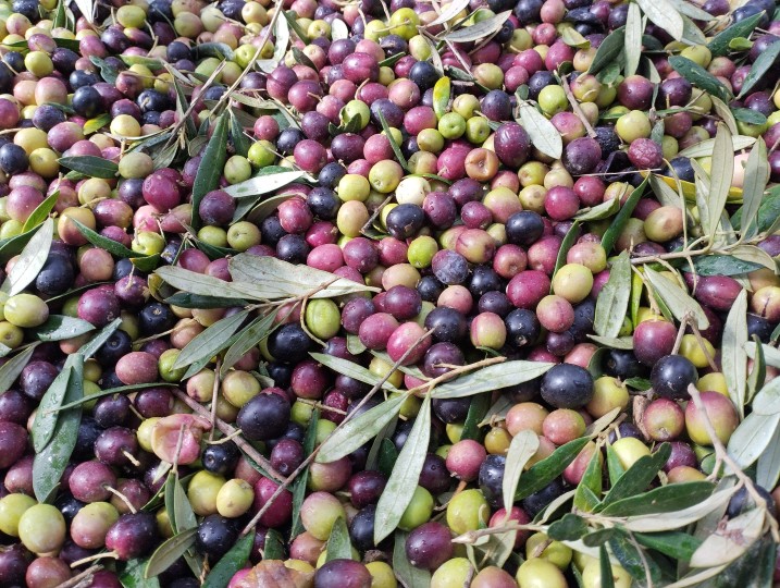 olives
