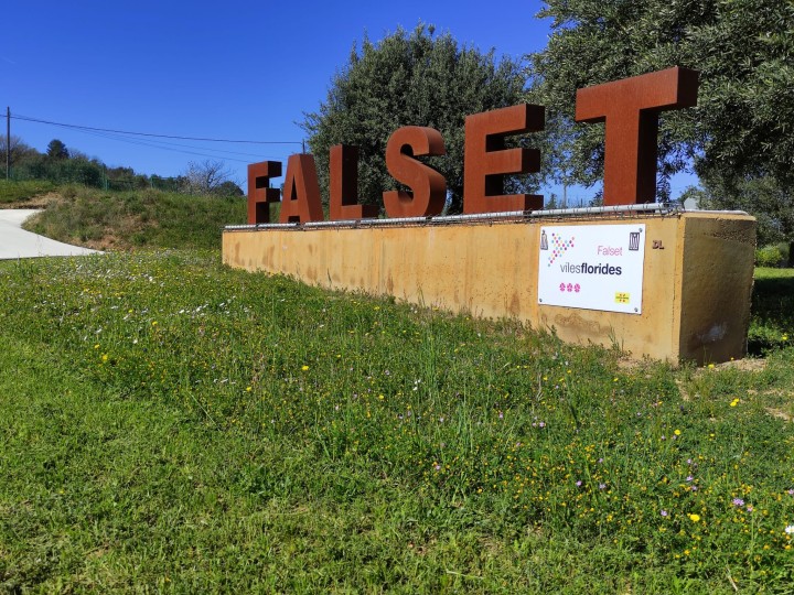 Falset entra a formar part de l'Estatut del Municipi Rural